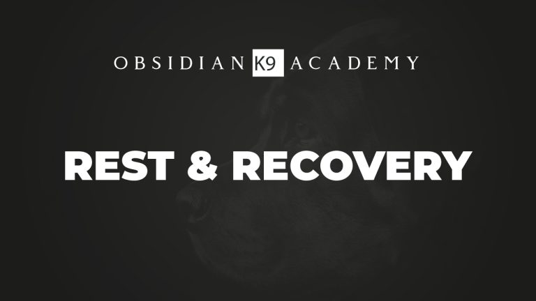 Rest & Recovery