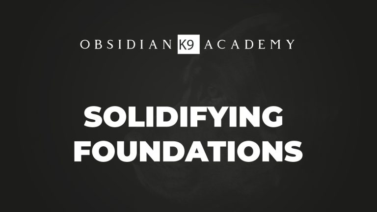 Solidifying Foundations