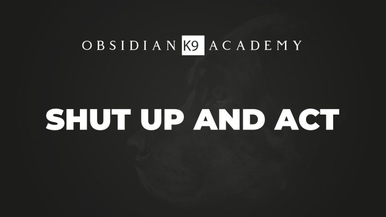 Shut Up And Act