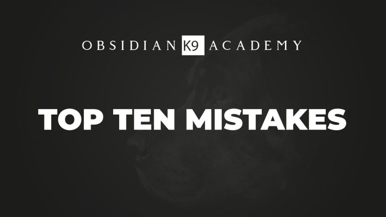 Top Ten Mistakes In Dog Training