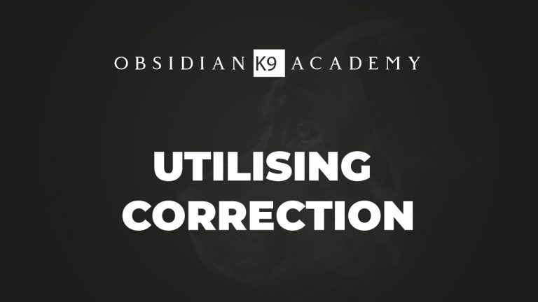 Utilising Correction