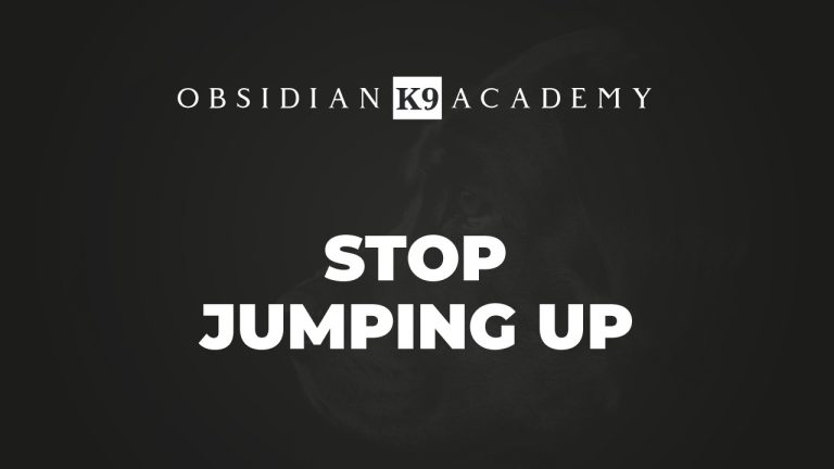 Stop Jumping Up