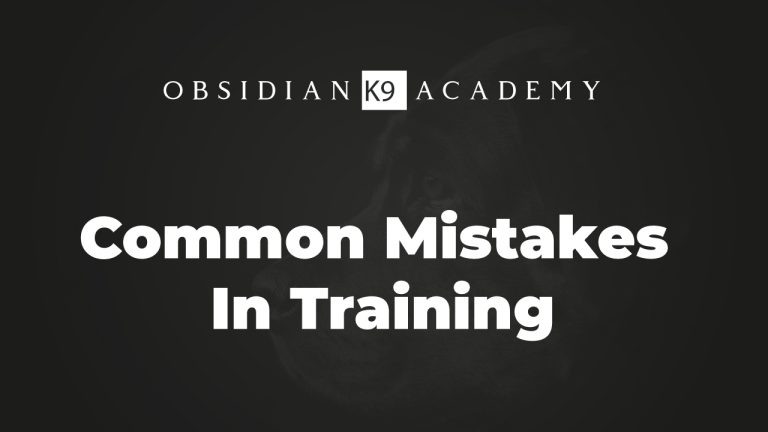 Common Mistakes in Training