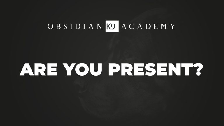 Are You Present?